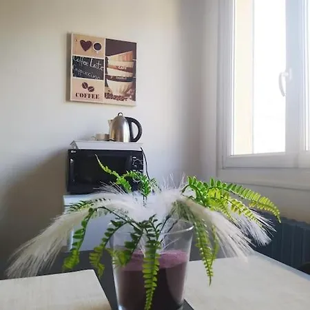 Apartment Petit Nid Urbain Proche Rer, 25min Paris Centre Privee Et Sdb Privee Independante *